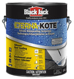 Black Jack® Eterna-Kote® Silicone Roof Coating